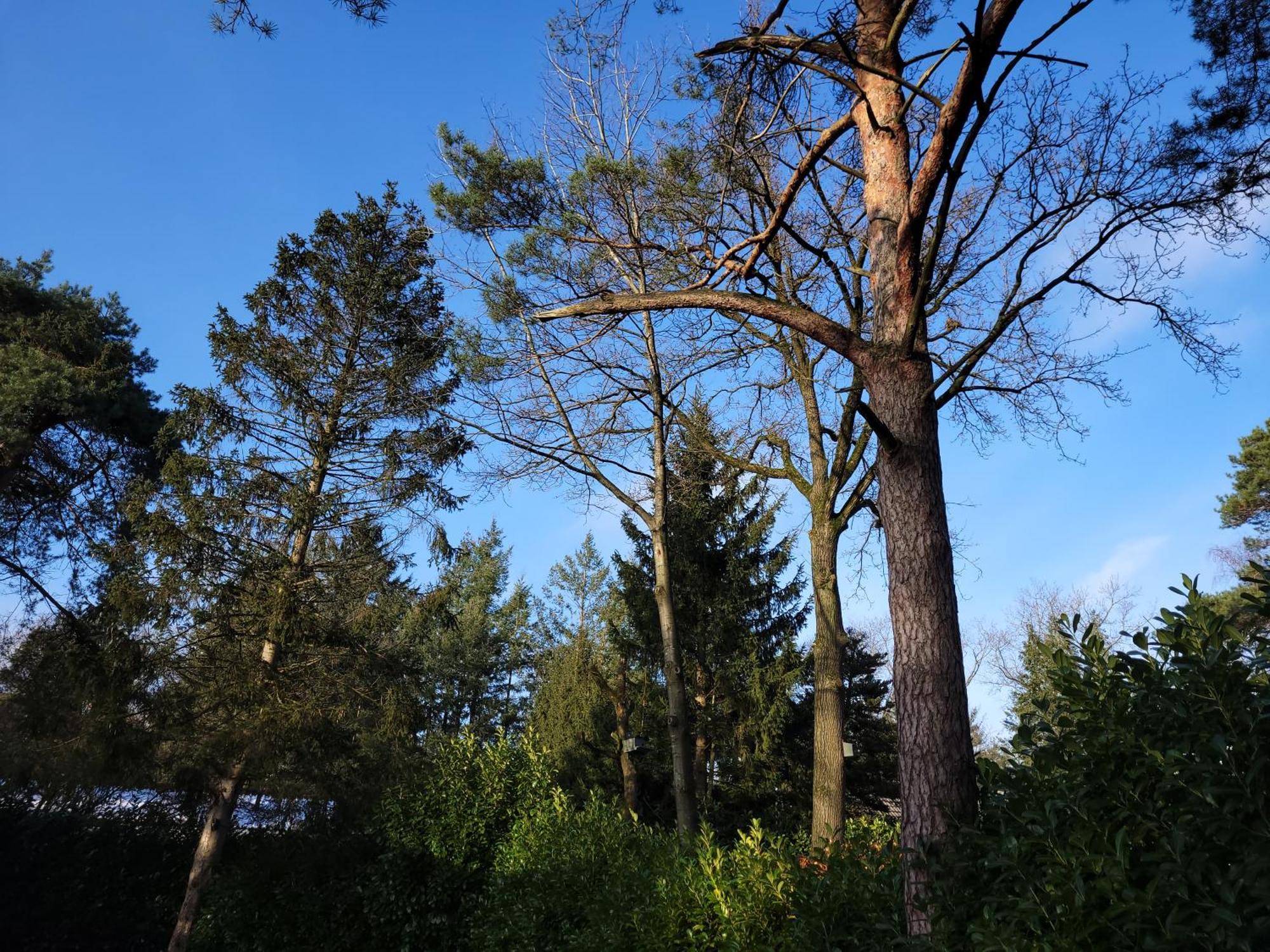 Secret Wellness Puur Natuur Holten Eksteriør billede
